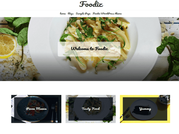 موقع إلكتروني يستخدم قالب FoodIz
