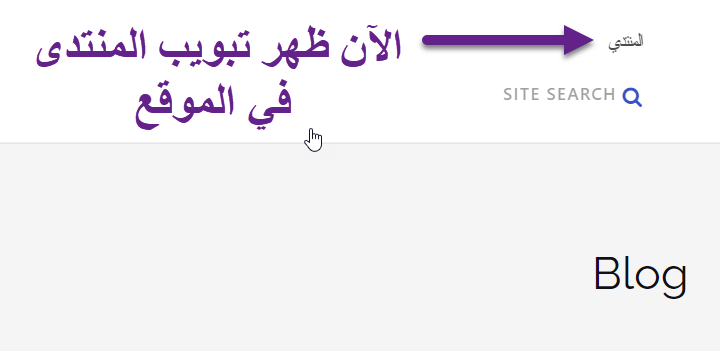 إنشاء منتدى على ووردبريس عبر إضافة bbPress 7 %D8%AA%D8%A8%D9%88%D9%8A%D8%A8 %D8%A7%D9%84%D9%85%D9%86%D8%AA%D8%AF%D9%89