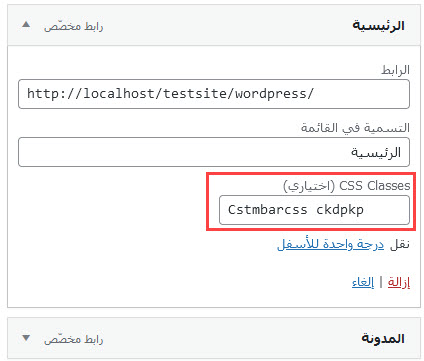إدخال CSS Classes في الحقل المخصص لتطبيق تنسيقات على العنصر باستخدام CSS