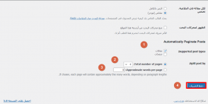 إعدادات إضافة Automatically Paginate Posts 9