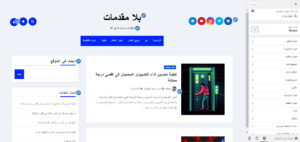 واجهة أداة التخصيص التي تعد إحدى الطرق التي تسمح القوالب بتخصيص مظهر الموقع من خلالها
