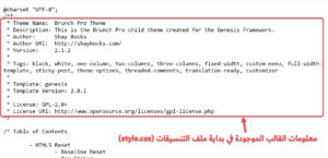 معلومات القالب الموجودة في بداية ملف التنسيقات الخاص به